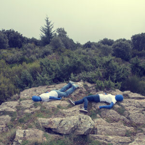 Ficus Decora Cabernet